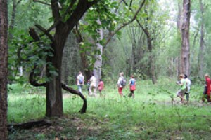 Nature Walk
