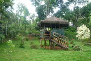 Scenic Greenery