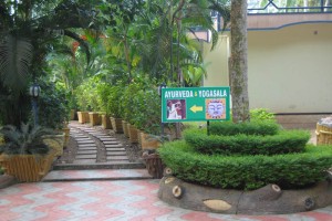 Ayurveda and Yogasala