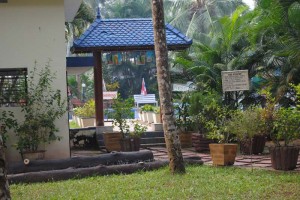 Ayurveda Centre and Swimming pool