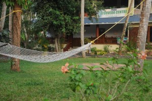 By the Ayurveda Centre