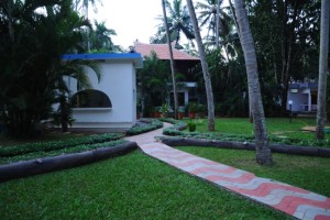 Dense palm groove