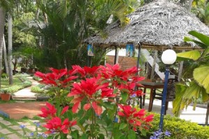 Flowery Garden