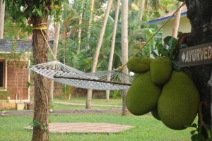Hammock