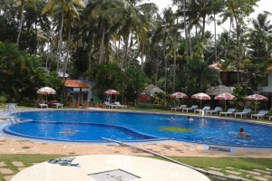Palm grooves by the pool