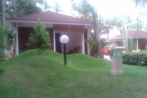 Undulating lawn