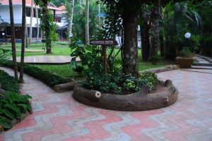 Way to Ayurvedic Centre