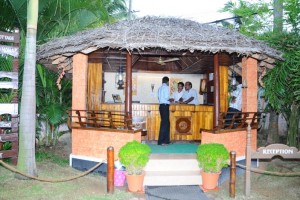 Reception under thatched roofs