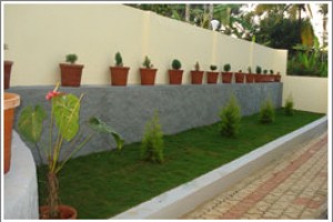 Lawn
