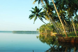 Palm Grooves