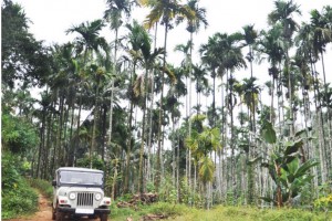 Jeep Safari