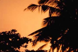 Dawning Dusk