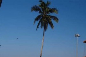 Golden Beach Resort