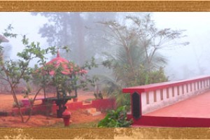 Olives Homestay