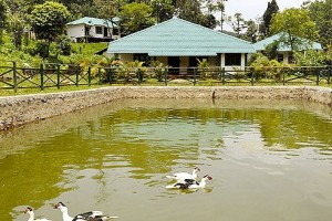 Resort Lake