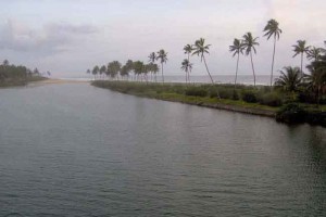 Bewitching Backwaters