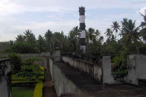 Palm Grooves