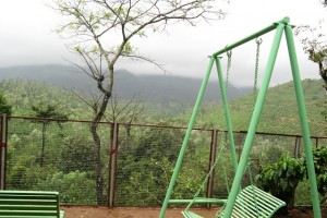 Play Area