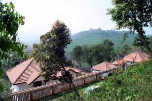 Resort Front View