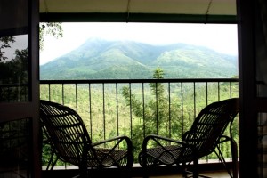 View from Balcony