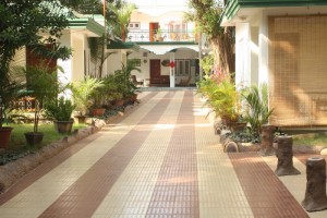 Furnishings by the pathway
