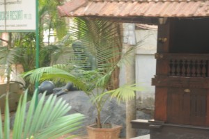 Greenery
