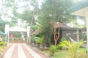 Lush Greenery
