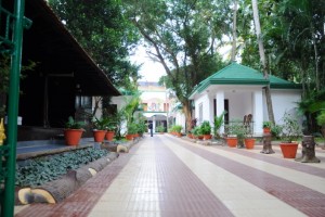 Pathway to the resort