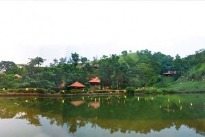 Natural Pool
