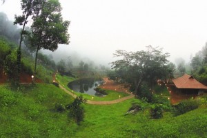 Natural Stream