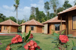 Different Cottages