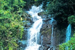 Water Falls Water Falls