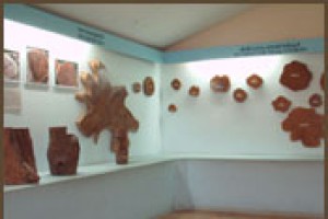 Interior of Teak Museum