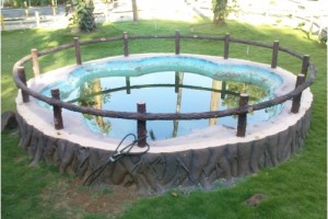 A small pool A small pool