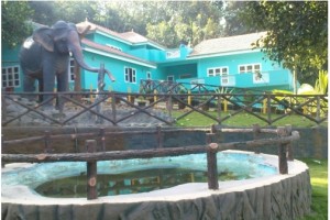 Children's Park Children's Park