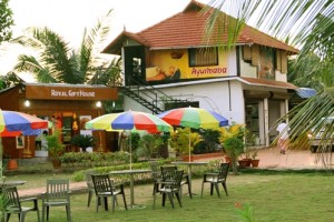 Lawn Lawn