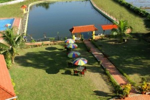 Ariel View Ariel View