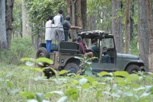 Jeep safari