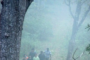 Trekking activity