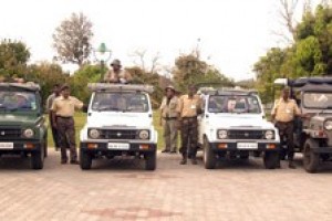 KS-safari