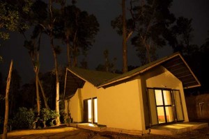 Cottage at night