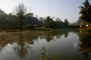 Lake surrounding the resort