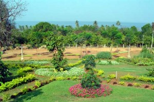 Saivishram1