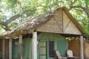 SaivishramTent