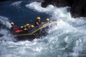 Rafting1