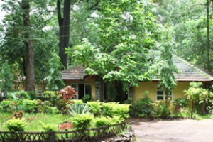 Cottage view3