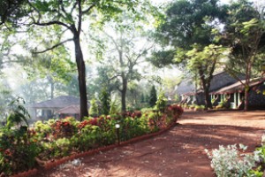 Garden area