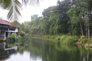 The Lake view from the Hotel