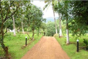 Plantation