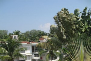 Pool View Pool View